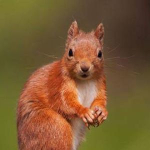 Meet your Posher, Terri